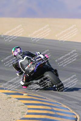 media/Nov-12-2023-SoCal Trackdays (Sun) [[5d1fba4e7d]]/Turn 10 Backside (115pm)/